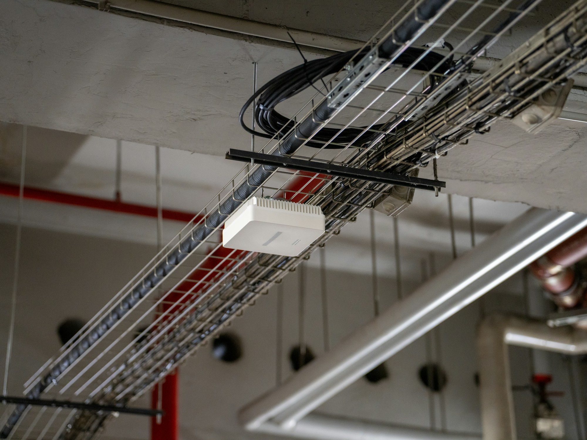 Cable tray and a wireless access point mounted on an office ceiling